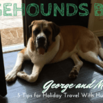 travel with big dogs