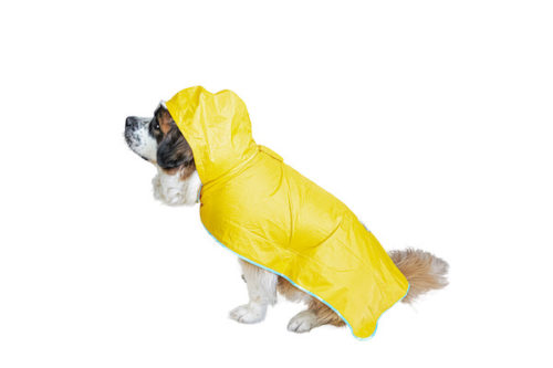 Raincoats with hoods for big dogs